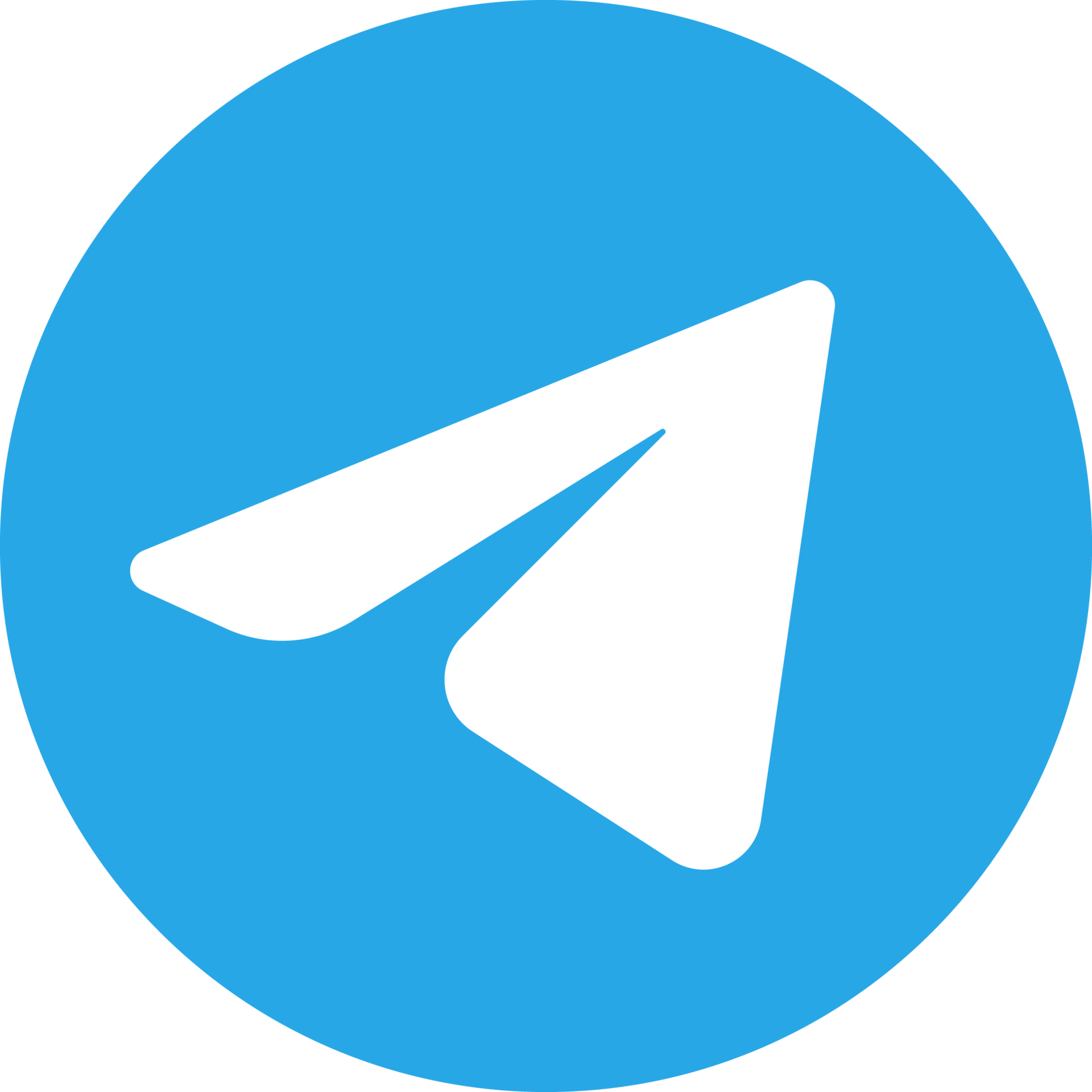 Telegram Icon